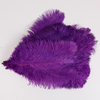 Wholesale 16-18 Inch Ostrich Feathers Multi-Color Dyed Plumas for Crafts Party Carnival & Wedding