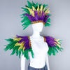 Feather Headpieces