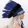 Feather Headpieces