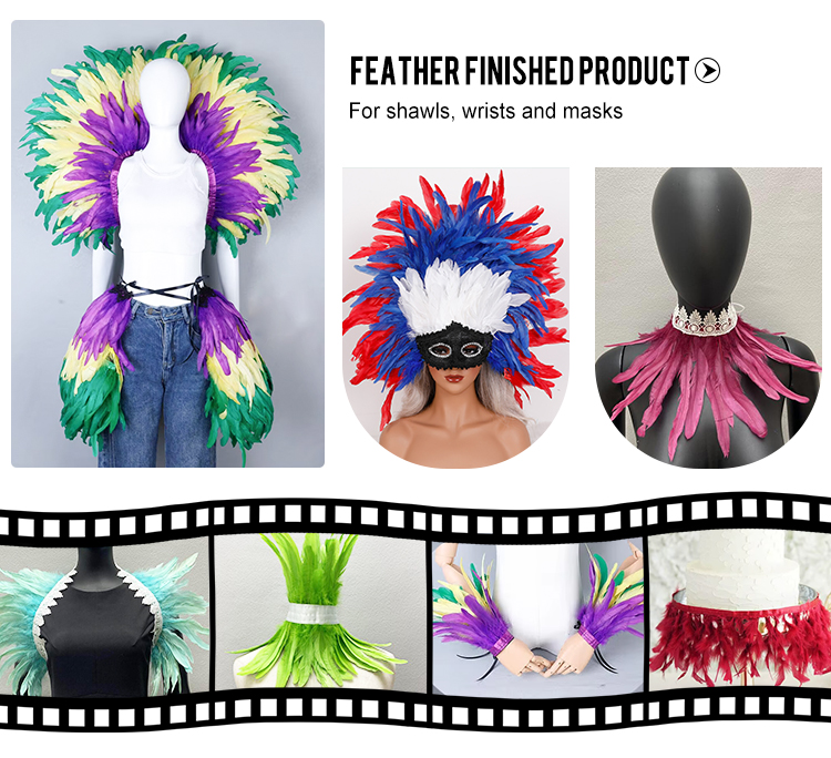 colorful rooster feathers for costumes