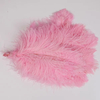 Wholesale 16-18 Inch Ostrich Feathers Multi-Color Dyed Plumas for Crafts Party Carnival & Wedding