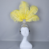 Feather Headpieces