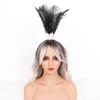 Feather Headpieces