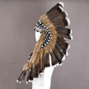 Feather Headpieces