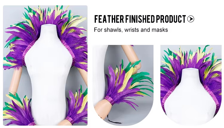 colorful rooster feather fringe