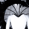 Feather wings