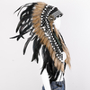 Feather Headpieces