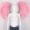 Feather Wings