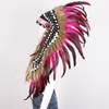 Feather Headpieces