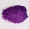 8-10 Inch Wholesale Ostrich Feathers for Wedding Carnival Performance Millinery Fashion And Costume Design