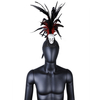 Feather Headpieces