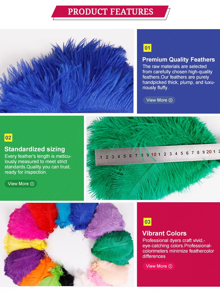 carnival and costume feathers