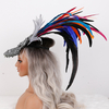 Feather masks