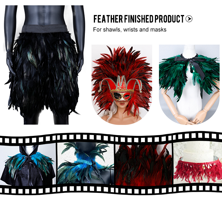 costume decoration feather trim