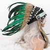 Feather Headpieces