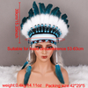 Feather Headpieces