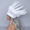 Indian Feather Headdress 