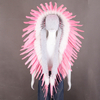 Feather Headpieces