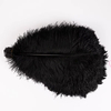 Wholesale 16-18 Inch Ostrich Feathers Multi-Color Dyed Plumas for Crafts Party Carnival & Wedding